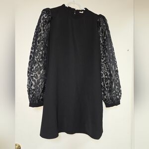 Elegant Black Dress with Sheer Sleeves